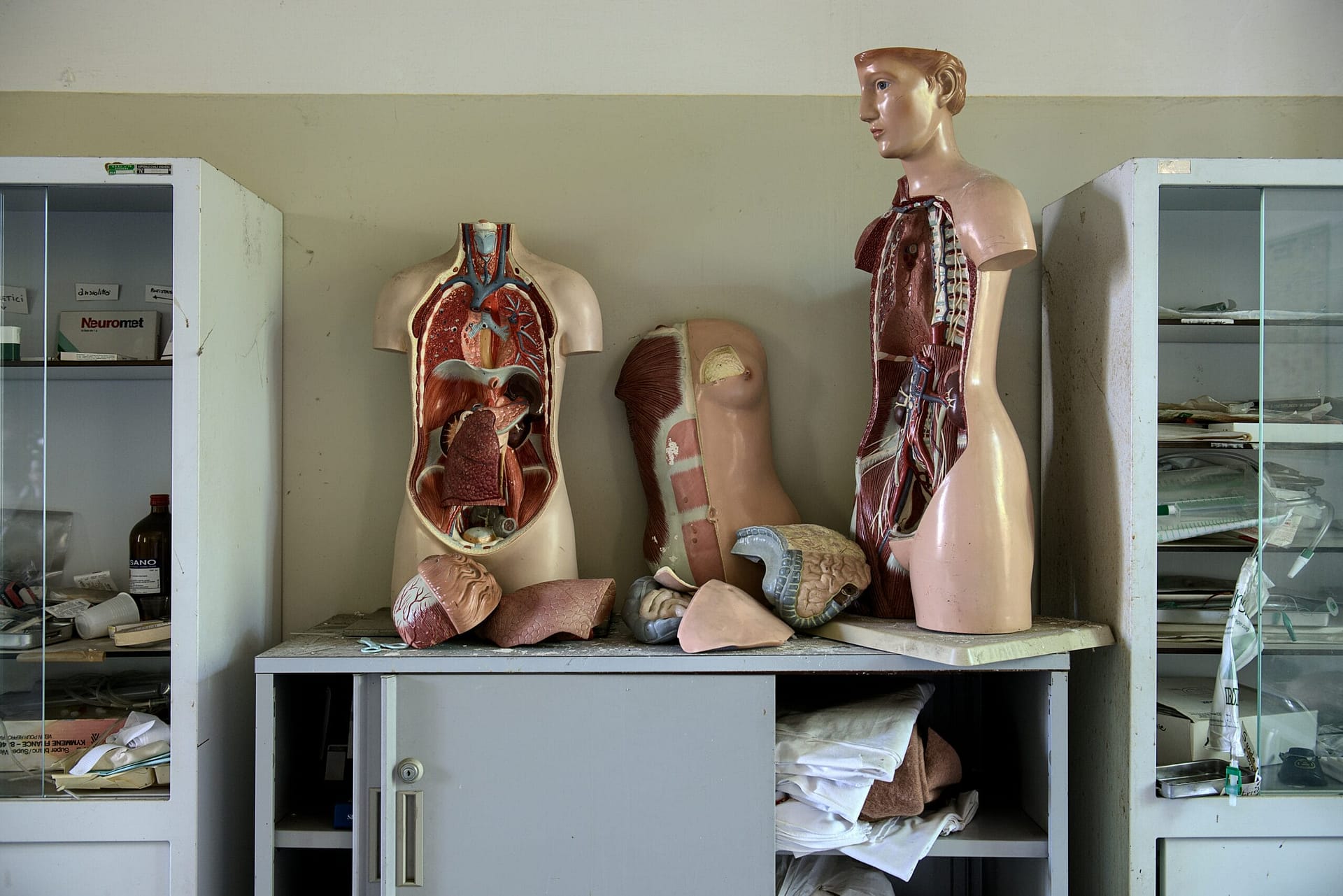 Liver Failure Symptoms