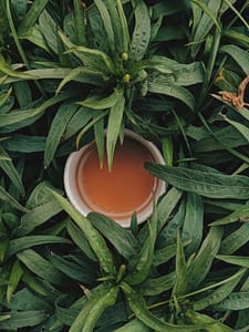 Green Tea 9 Amazing Health Benefits That Actually Work