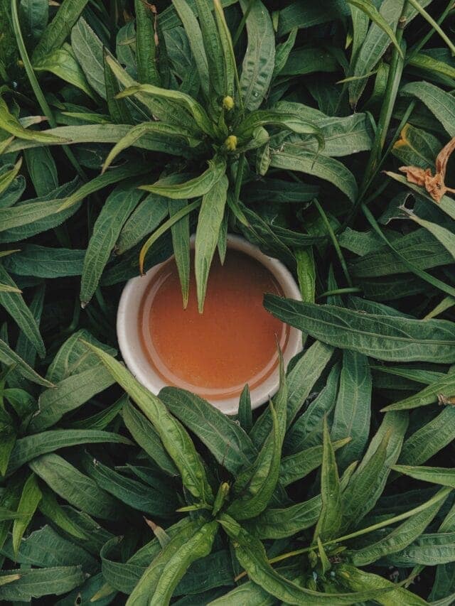 Green Tea: 7 Powerful Benefits Doctors Want You to Know 1 Green Tea